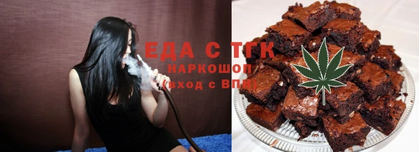 крисы Инта