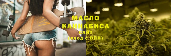 крисы Инта