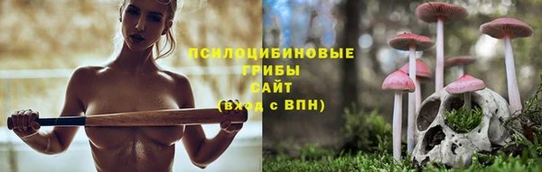 apvp Инсар