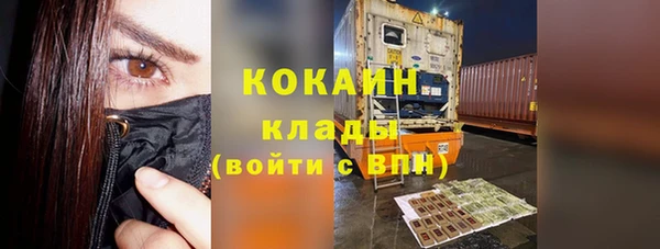 крисы Калач