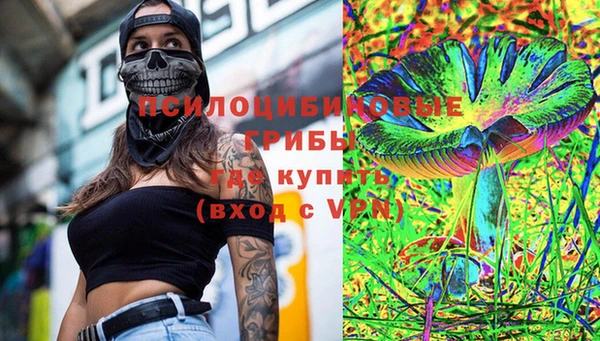 крисы Инта