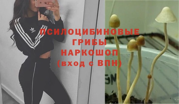 крисы Инта