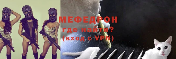 apvp Инсар