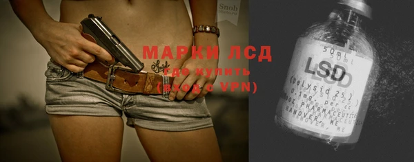 apvp Инсар