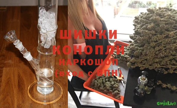 крисы Инта