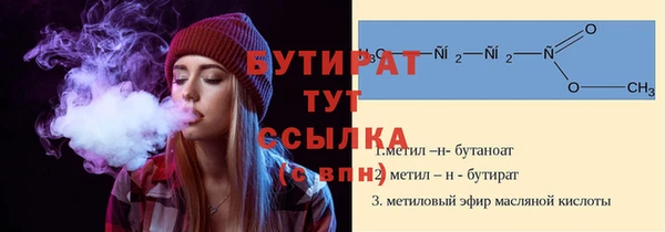 apvp Инсар