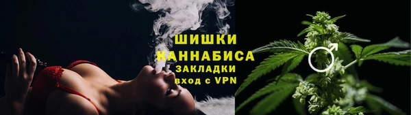 крисы Инта