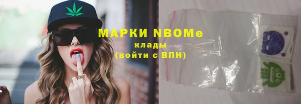 крисы Инта