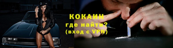 apvp Инсар