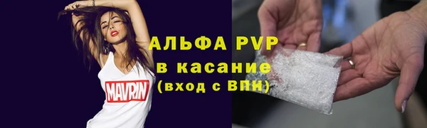 apvp Инсар
