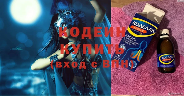 крисы Инта