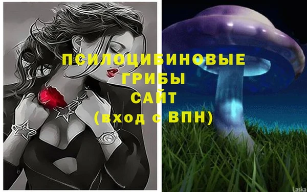 крисы Инта