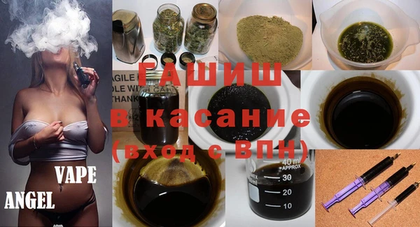 крисы Инта