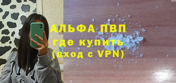 крисы Инта