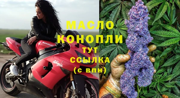 apvp Инсар