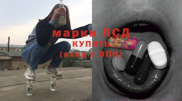 apvp Инсар