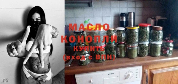 крисы Инта