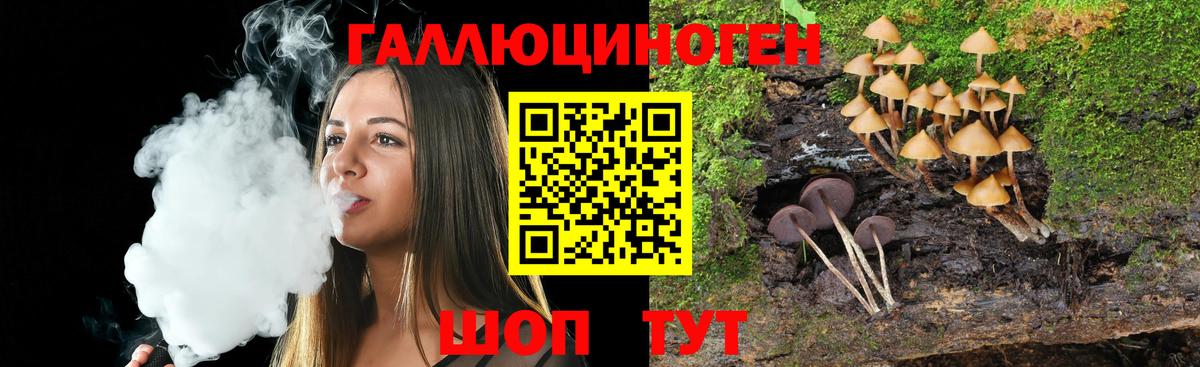 Галлюциногенные грибы Psilocybine cubensis Сердобск